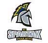 HC Spartak Velká Bíteš